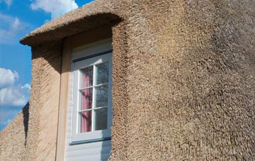 Prenteg thatch roof disadvantages