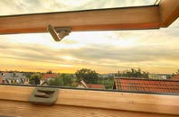 rated Prenteg roof window companies